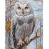 Wildwood Owl