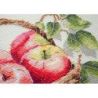 Borduurpakket Bulk apples (Deco Scenes) 23x22 cm AAH-250