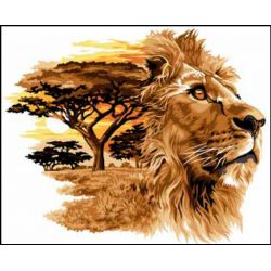 De koning van de jungle - le Roi