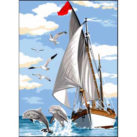 Boot te water - Voile et nageoire