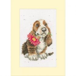 Hannah Dale - Especially For You