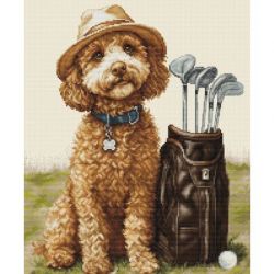 The Master Golfer