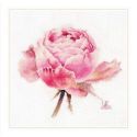 Watercolor roses. Pink exquisite