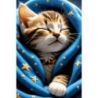 Diamond Painting kit "Purr purr"