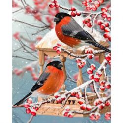 Two bullfinches