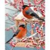 Two bullfinches