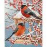 Two bullfinches