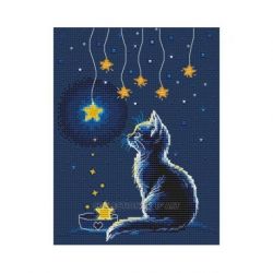 Kitten and Starry Milk