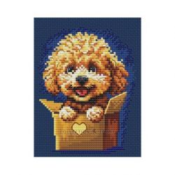 Surprise for You, Doos