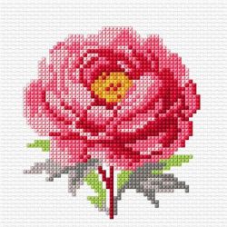 Voorbedrukt kruissteek pakket Pioenroos