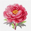 Voorbedrukt kruissteek pakket Pioenroos