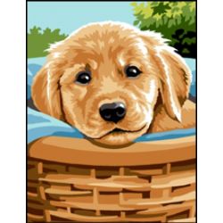 Voorbedrukt pakket - Au panier