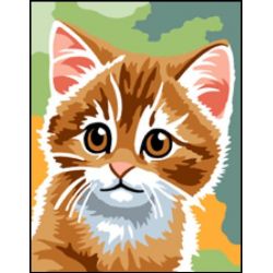 Voorbedrukt pakket - Chat roux