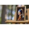 Borduurpakket Girl with a pearl earring S/KR003