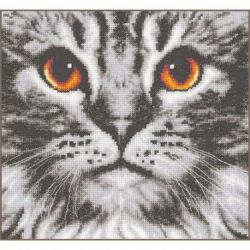 Telpakket kit Kat close-up