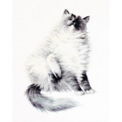 Borduurpakket Micky Luca-S-B2269