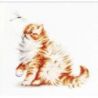 Borduurpakket Kitten with a dragonfly Luca-S-B2270