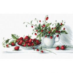 Borduurpakket Strawberries Luca-S-B2277