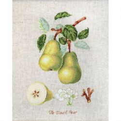 Borduurpakket The Dauch Pear Luca-S-BL22420