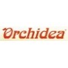Orchidea